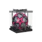 Black Box