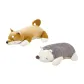 Shiba Inu+Porcupine Combo