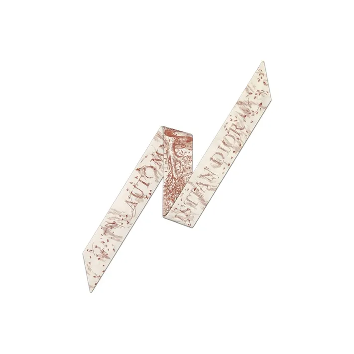 DIOR Silk Scarves Women's-1
