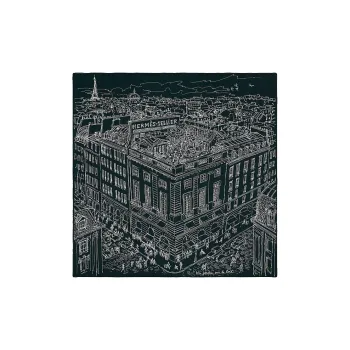 HERMES Roof Garden Silk Scarves Unisex