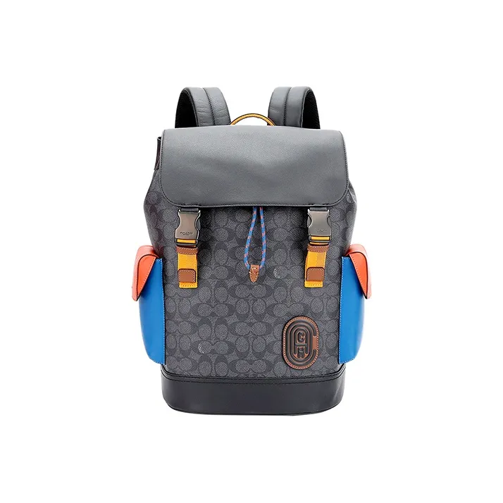 COACH Rivington Leather Travel Bag Backpack Backpack Large Size Men's Gray Multicolor-0