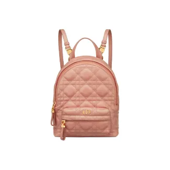 DIOR Backpacks