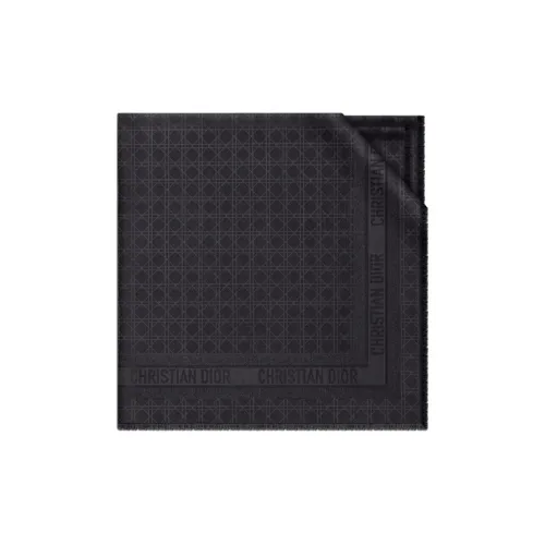 DIOR Silk Scarves Women's Dark Blue
