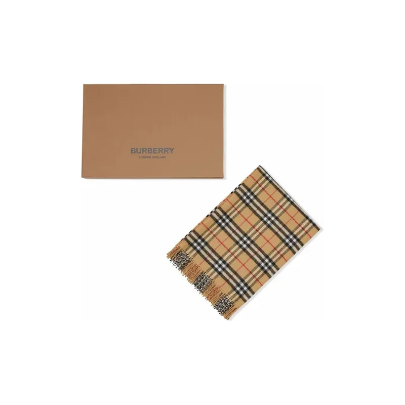 Burberry Scarves Kids-2