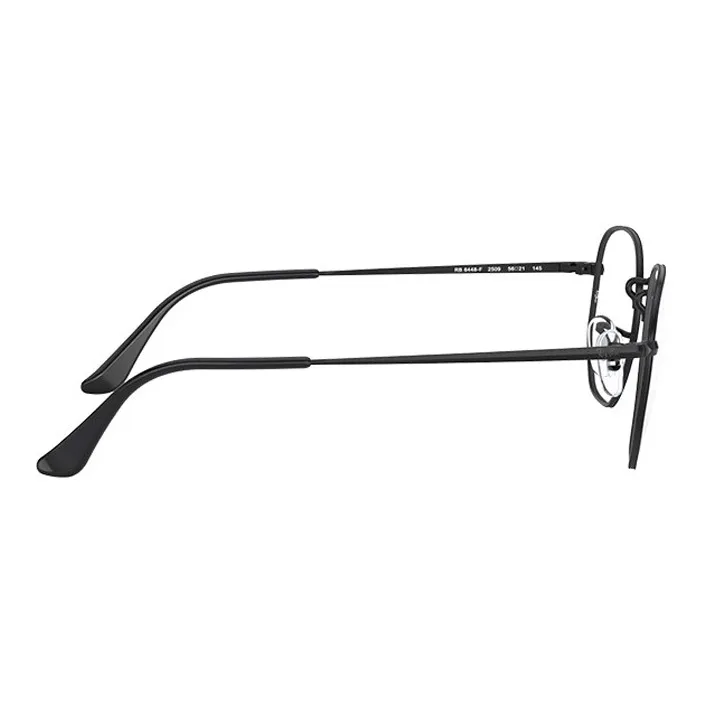 RayBan Hexagonal Frame Glasses-3