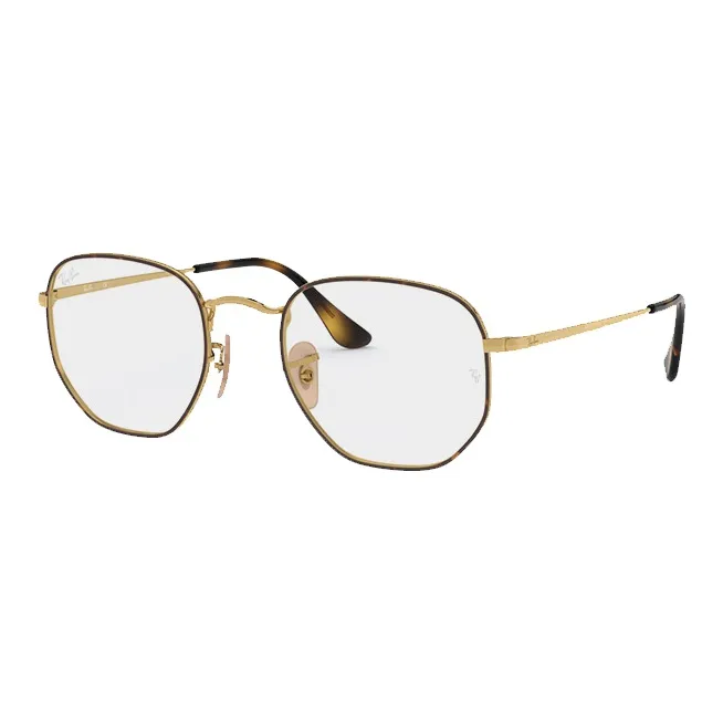 RayBan Hexagonal Frame Glasses-1