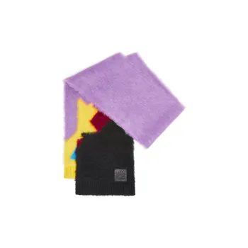 LOEWE Knit Scarves Women's Multicolor