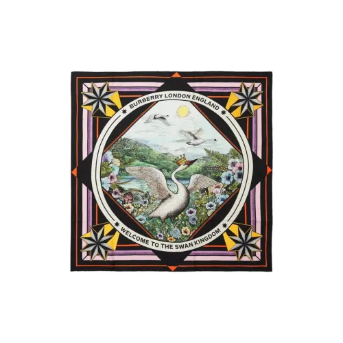 Burberry Silk Scarves Women's Multicolor