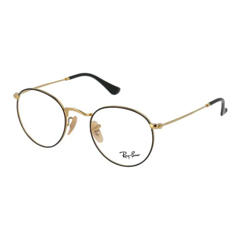 RayBan Round Frame Glasses-1