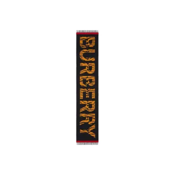 Burberry Knit Scarves Unisex