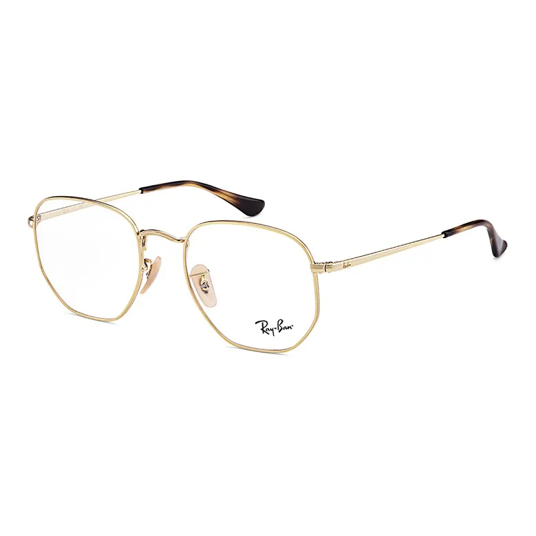 RayBan Hexagonal Frame Glasses-1
