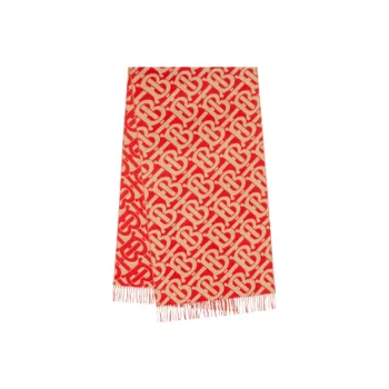 Burberry Knit Scarves Unisex