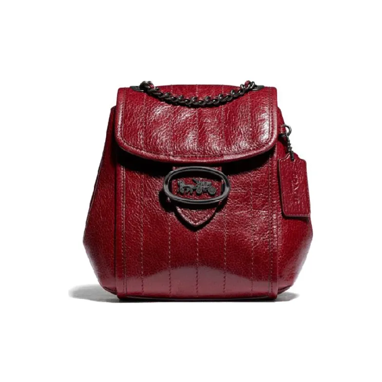 COACH Melody Backpacks-0