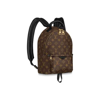 LOUIS VUITTON Palm Springs Monogram Updated Zipper Pm