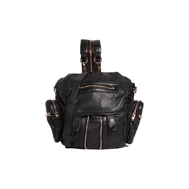 Alexander wang backpack mini best sale