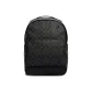 Bag+Dust Bag