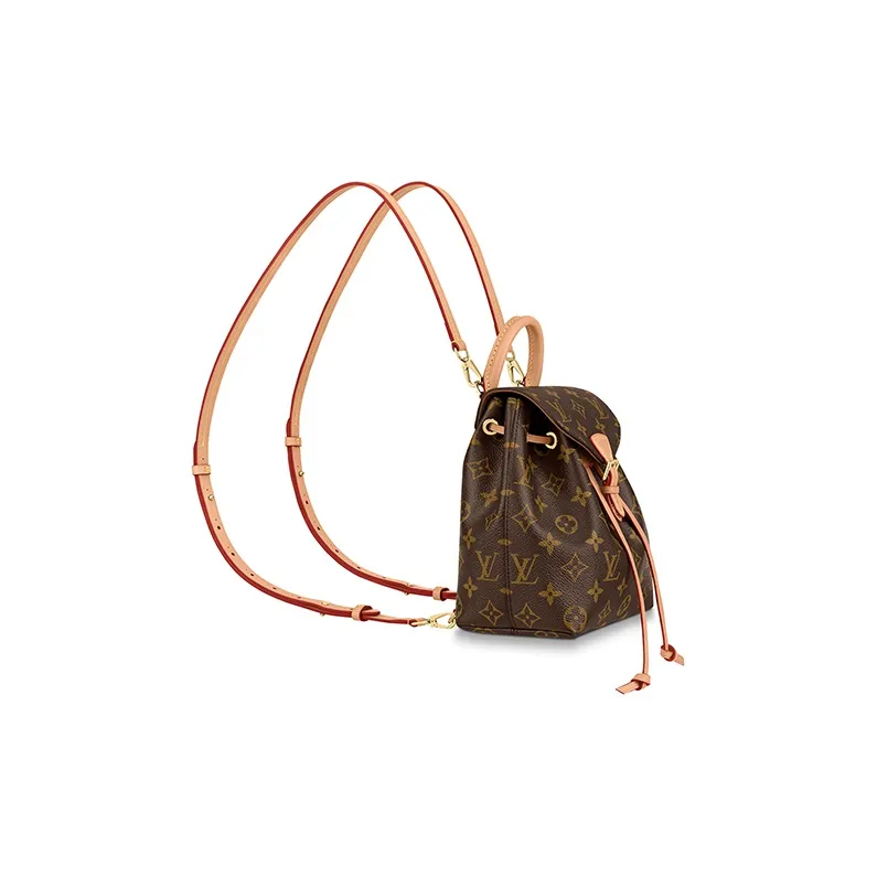 LOUIS VUITTON Montsouris Backpack Bb-2