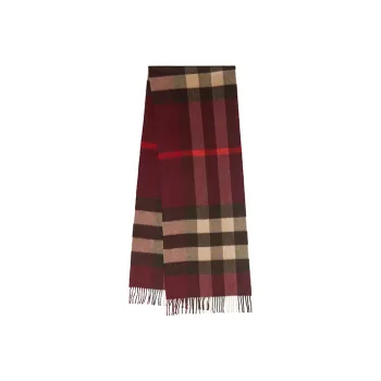 Burberry Knit Scarves Unisex