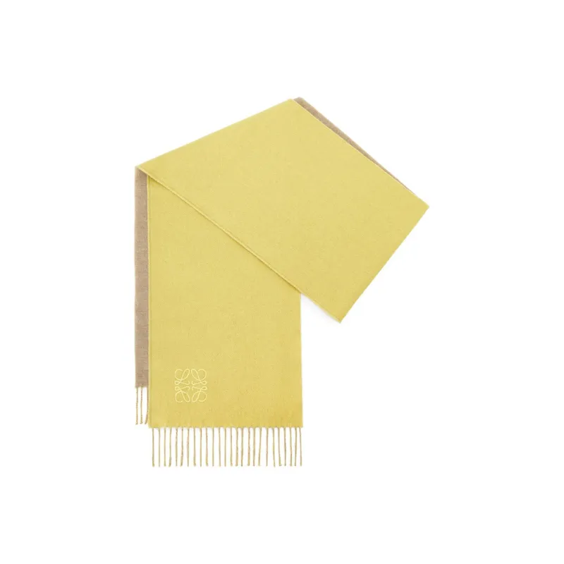 LOEWE Knit Scarves Women's Yellow/Beige-3