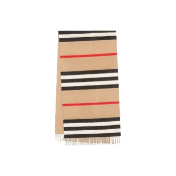 Burberry Knit Scarves Unisex