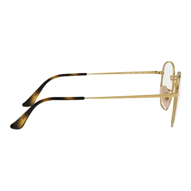 RayBan Hexagonal Frame Glasses-2