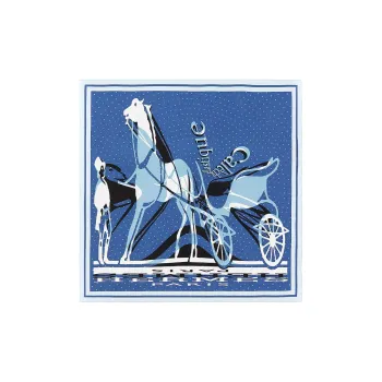 HERMES Light And Swift Carriage Assorted Silk Scarves Women's Sky Blue/Gypsy Blue