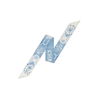 DIOR Silk Scarves Women's Blue