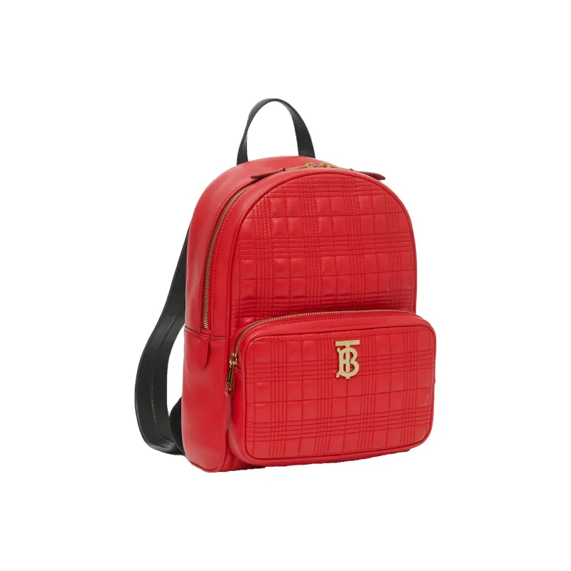 Burberry Backpacks-1