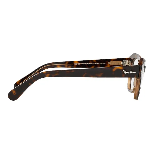 RayBan State Street Glasses-3