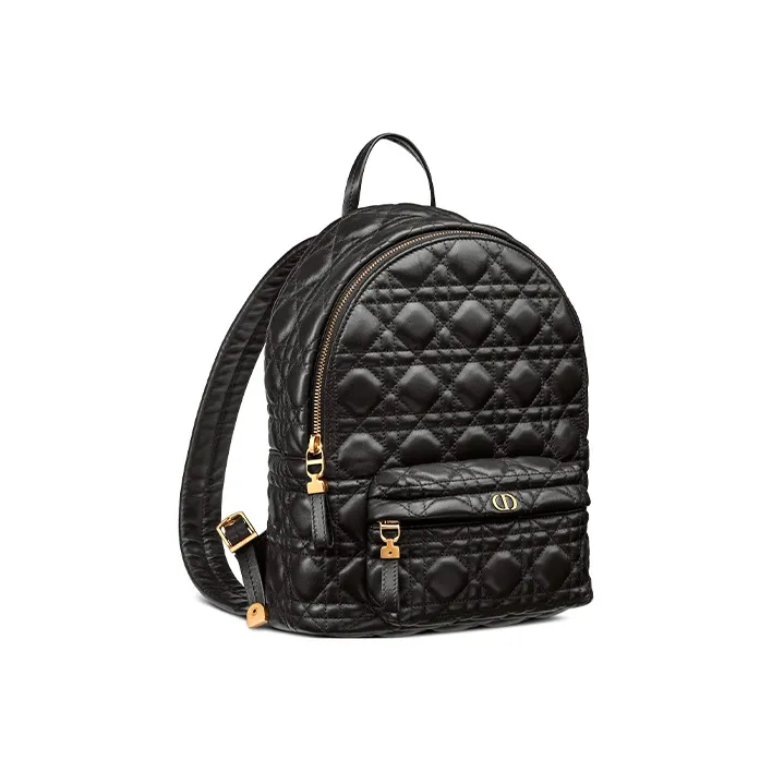 DIOR Sheepskin Backpack Small Size Women's Black-1
