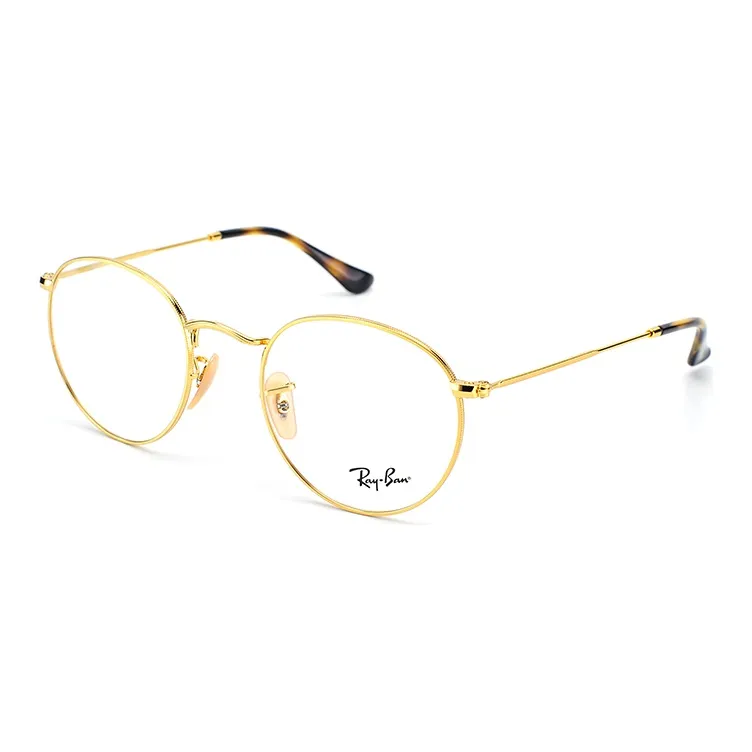 RayBan Round Frame Glasses-1