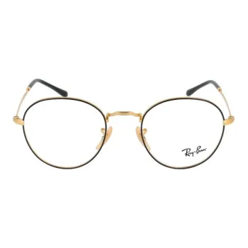RayBan Round Frame Glasses