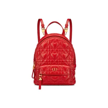 DIOR Backpacks