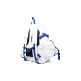 s pre-owned Épi Noé shoulder bag