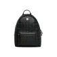 Bag+Dust Bag
