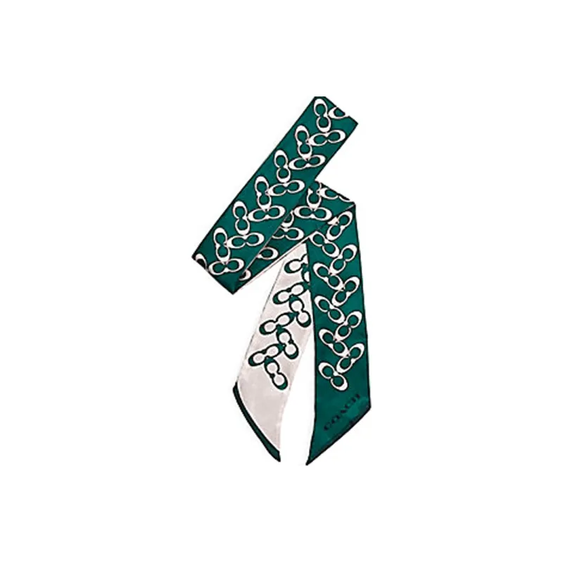 COACH Silk Scarves Women's Light Green-0