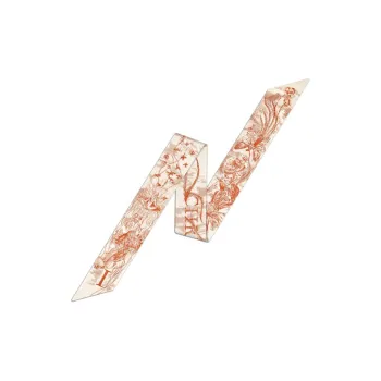 DIOR Silk Scarves Women's Dark Orange