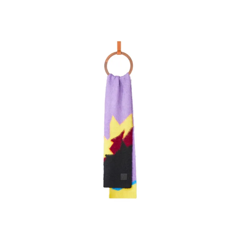 LOEWE Knit Scarves Women's Multicolor-1