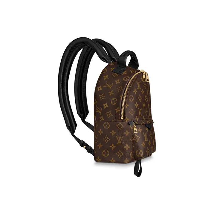 LOUIS VUITTON Palm Springs Monogram Updated Zipper Pm-3