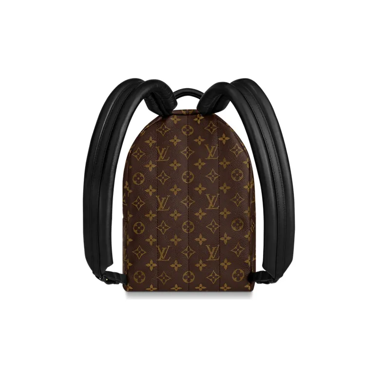 LOUIS VUITTON Palm Springs Monogram Updated Zipper Pm-4