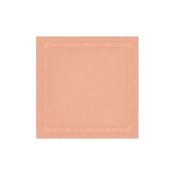 DIOR OBLIQUE Knit Scarves Women's Rouge Pink
