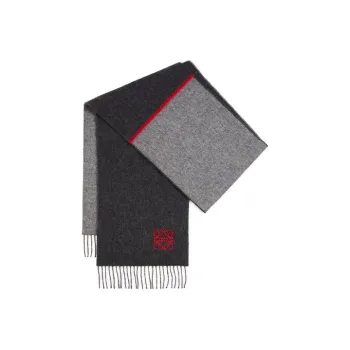LOEWE Window Anagram Scarf