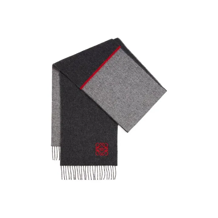 LOEWE Window Anagram Scarf-0