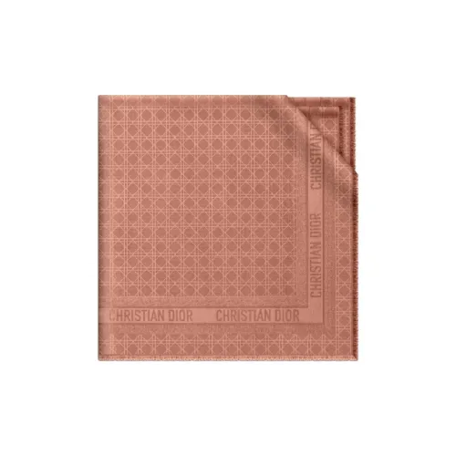 DIOR Scarves Women's Pink