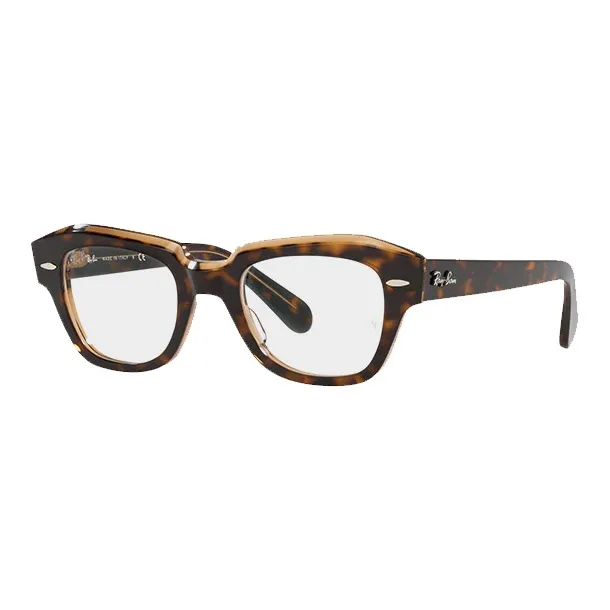 RayBan State Street Glasses-2