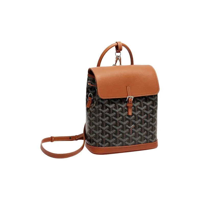 GOYARD Canvas With Leather Shoulder Bag Backpack Mini Women's Black Umber-1