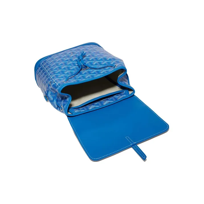 GOYARD Alpin Cow Leather Backpack Mini Women's Sky Blue-4