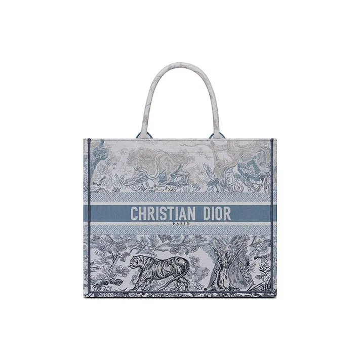 DIOR BookTote Handbags-0