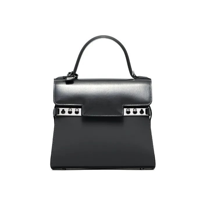 Delvaux Tempête Handbags-0