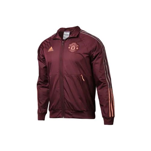 Adidas MANCHESTER UNITED THEATRE OF DREAMS Jackets Men Fuchsia